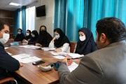 نشست کمیته اقتصاد و درمان